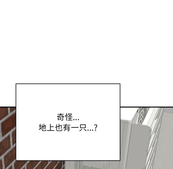 204P - 再爱我一次