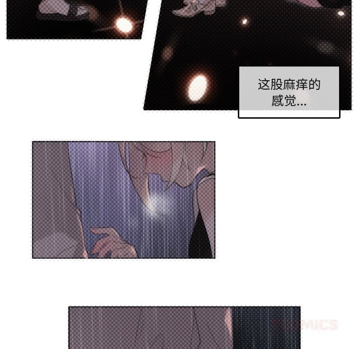86P - 无与伦比的日常
