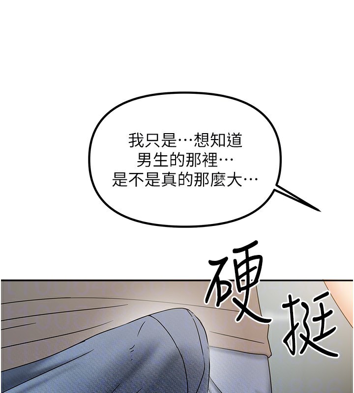 148P - 我家的女房客