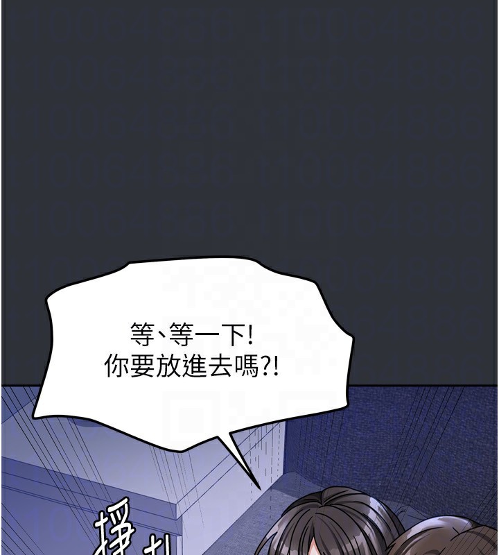 142P - 我家的女房客