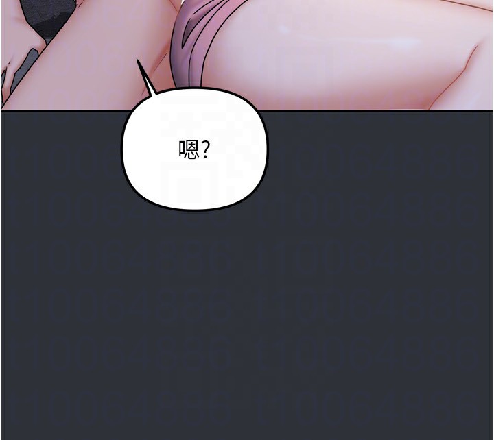65P - 我家的女房客