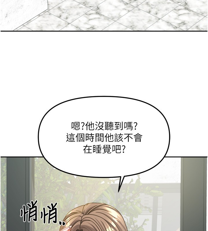 29P - 我家的女房客