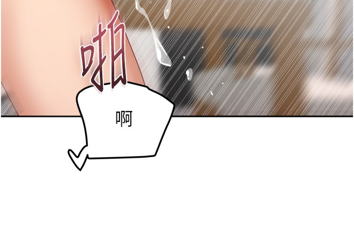 52P - 我家的女房客