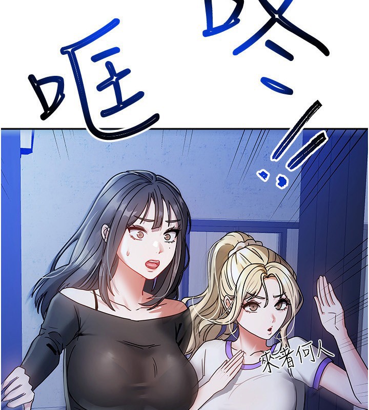 2P - 我家的女房客