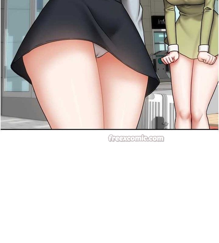 14P - 我家的女房客