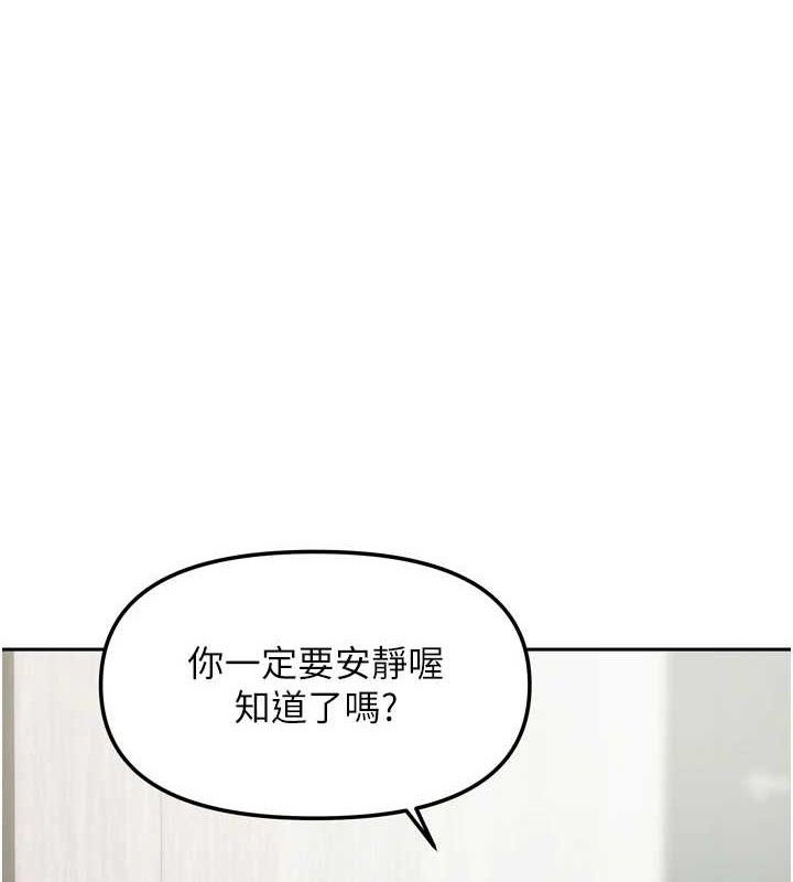1P - 我家的女房客