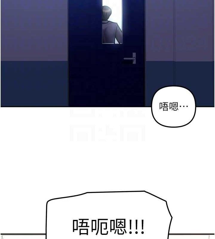 41P - 我家的女房客