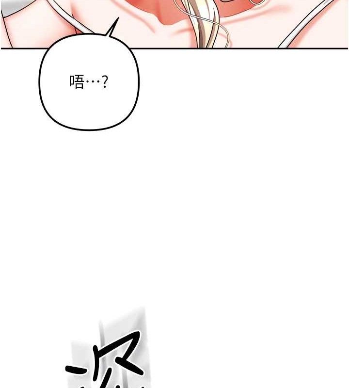 67P - 我家的女房客