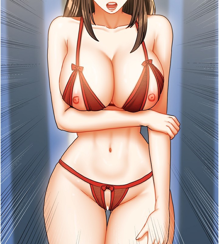 102P - 我家的女房客