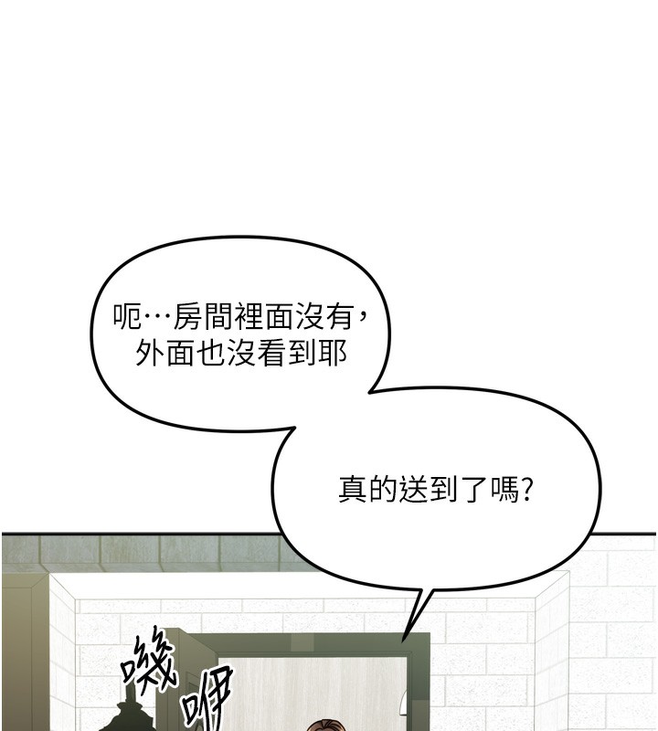 54P - 我家的女房客