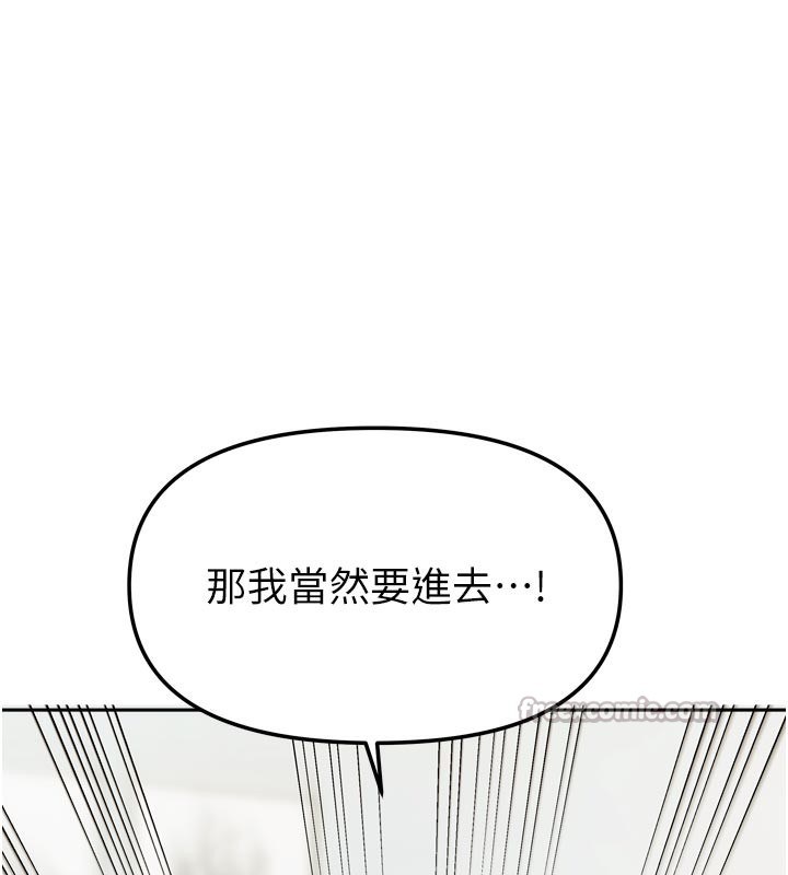 14P - 我家的女房客