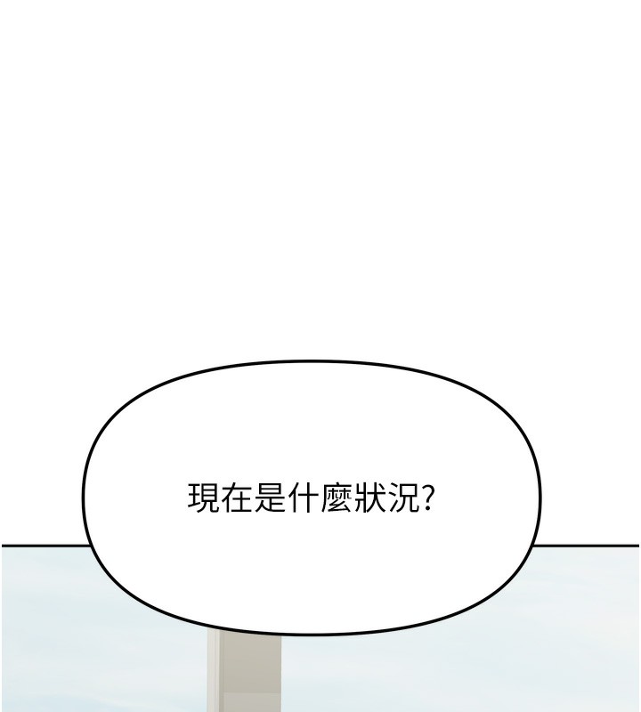 13P - 我家的女房客