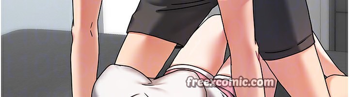 28P - 我家的女房客