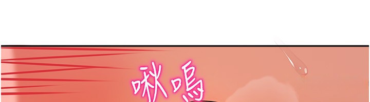 37P - 我家的女房客