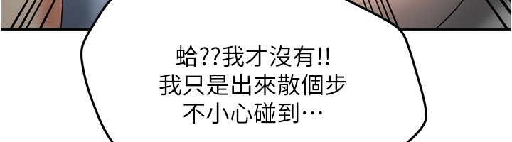 115P - 我家的女房客