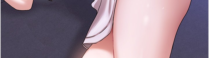 31P - 我家的女房客