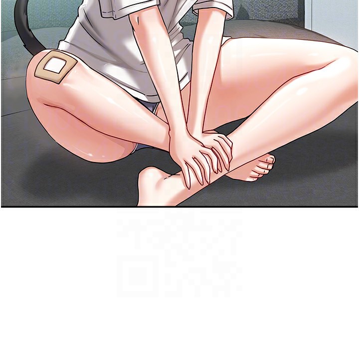 43P - 我家的女房客