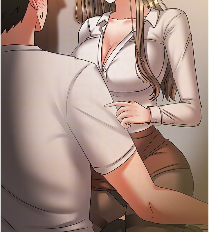 43P - 我家的女房客