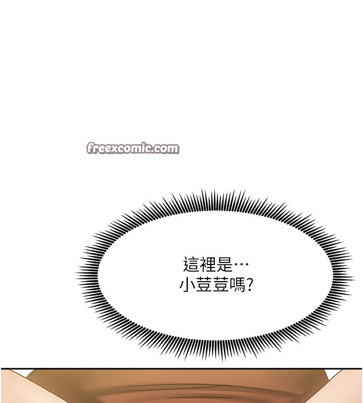 42P - 我家的女房客