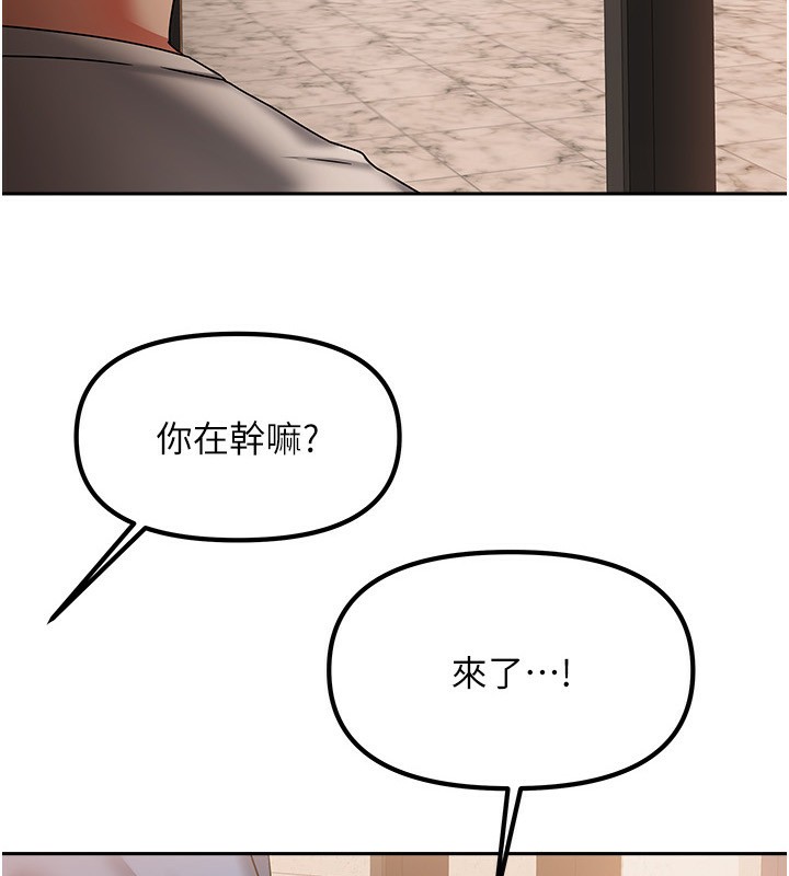 7P - 我家的女房客