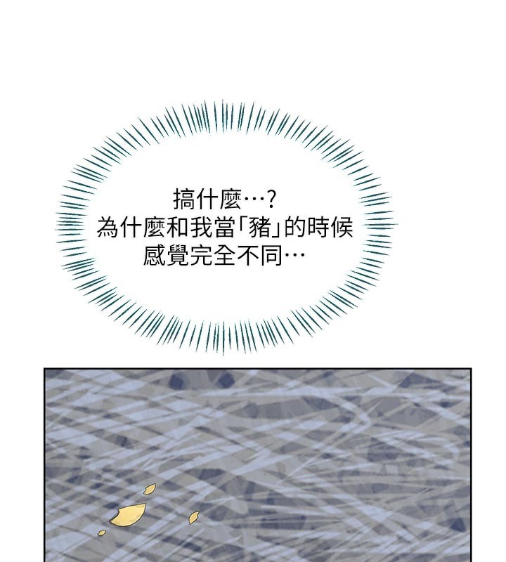 71P - 熟女交换计划
