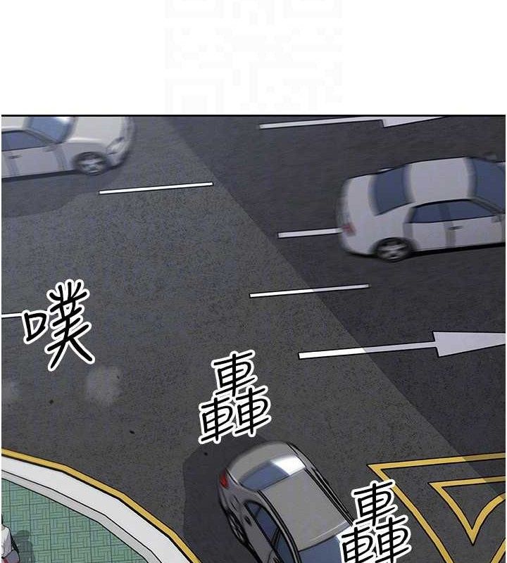 43P - 我的掌上明珠