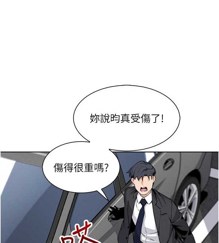 8P - 我的掌上明珠