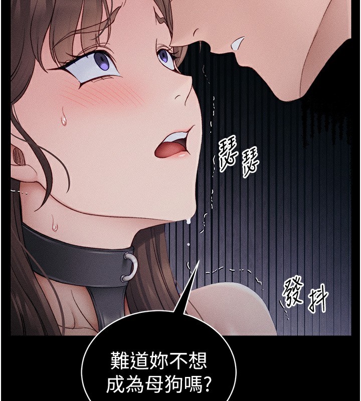 62P - 太妹攻略指南