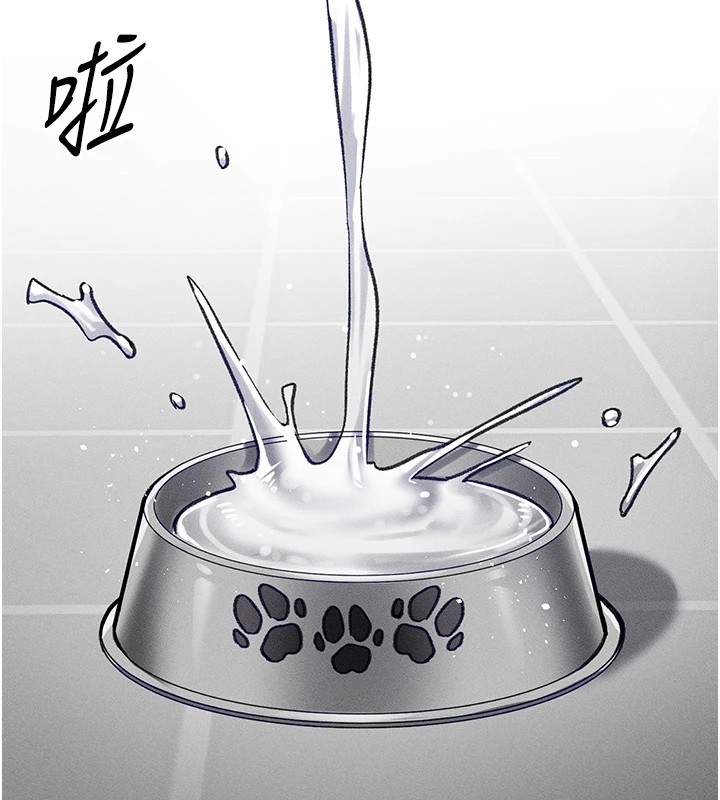 47P - 太妹攻略指南