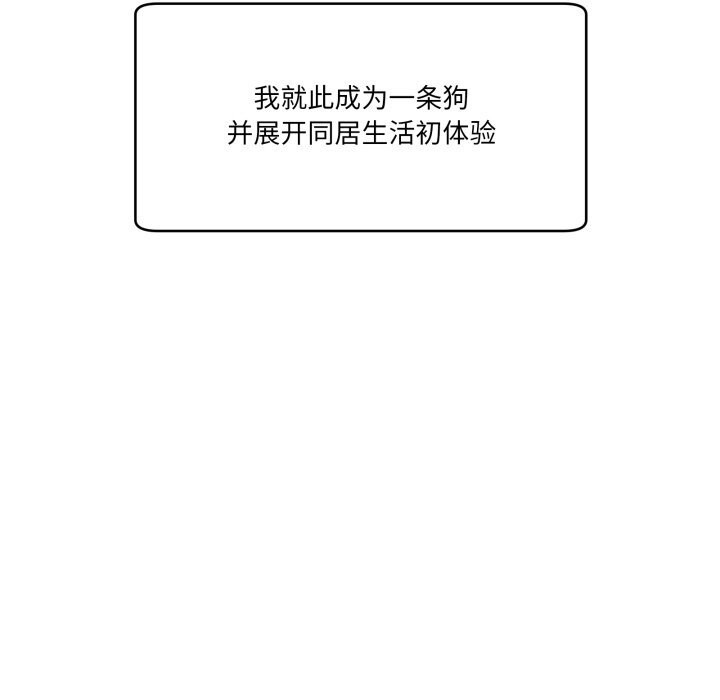 29P - 当狗不丢人