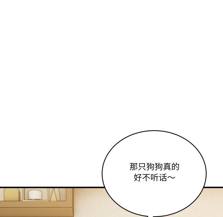 34P - 当狗不丢人