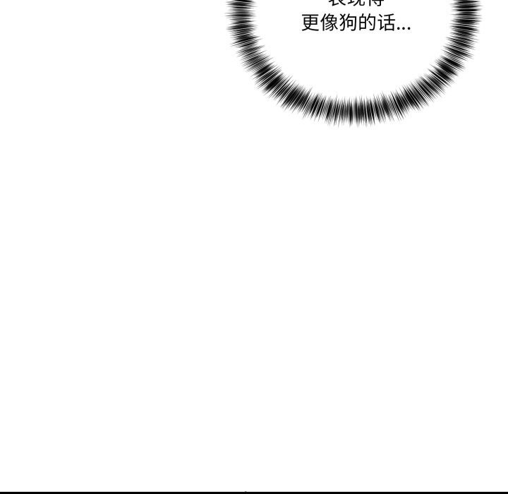 12P - 当狗不丢人