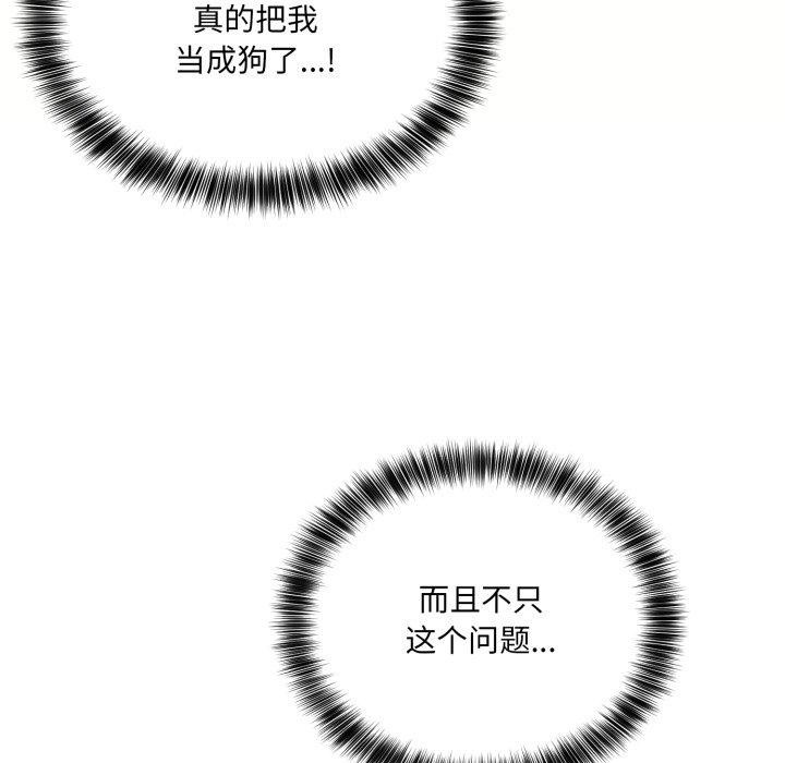 72P - 当狗不丢人