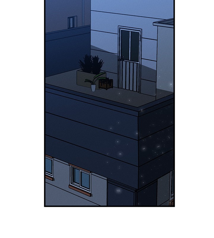 55P - 等价交换人生