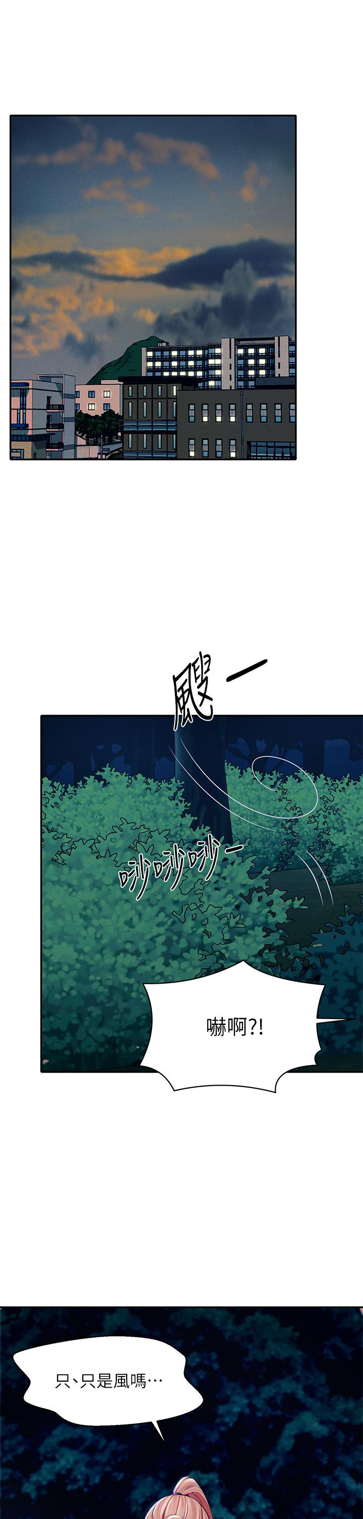 19P - 谁说理组没正妹？