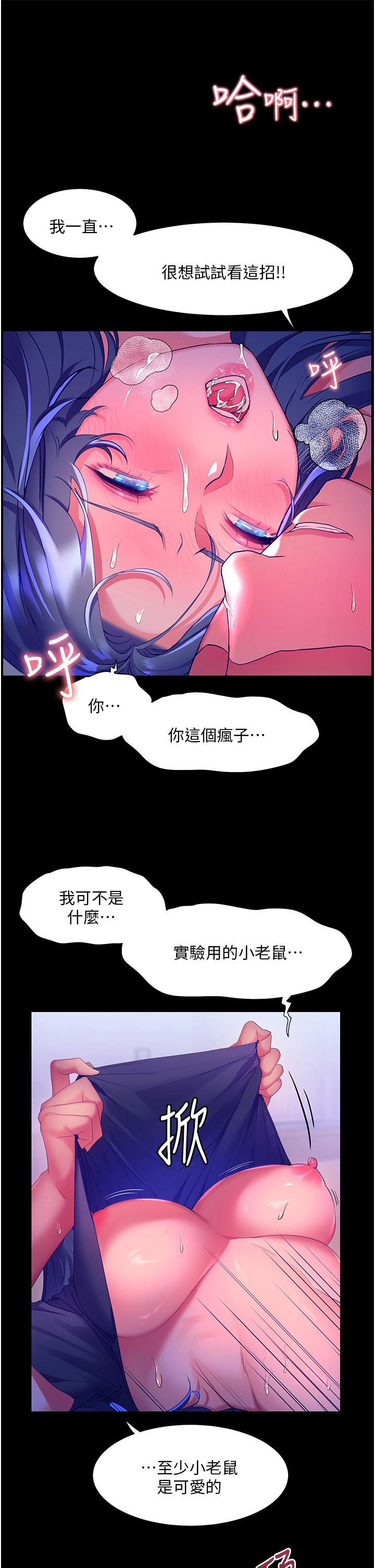 17P - 幸福小岛