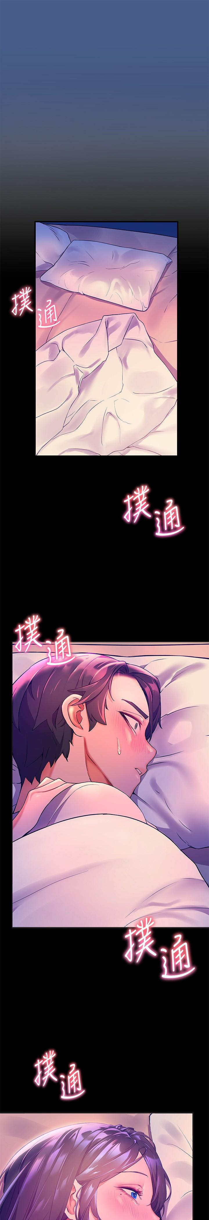 5P - 幸福小岛