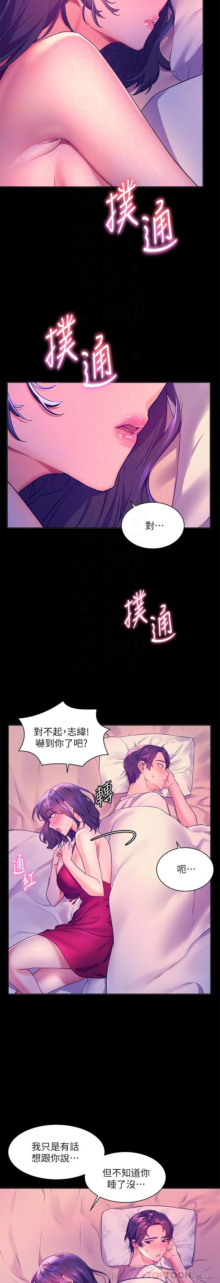 6P - 幸福小岛