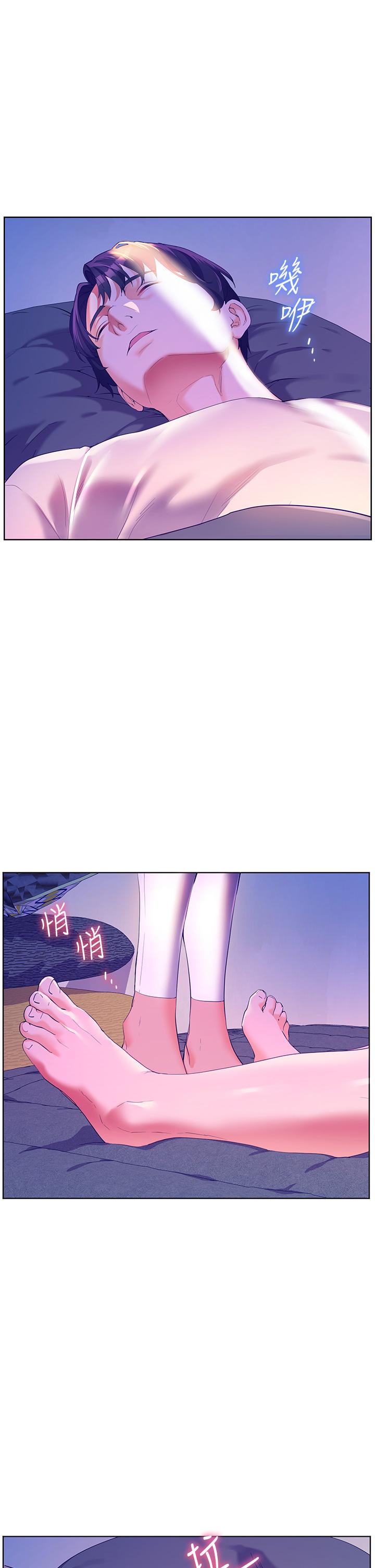 31P - 幸福小岛