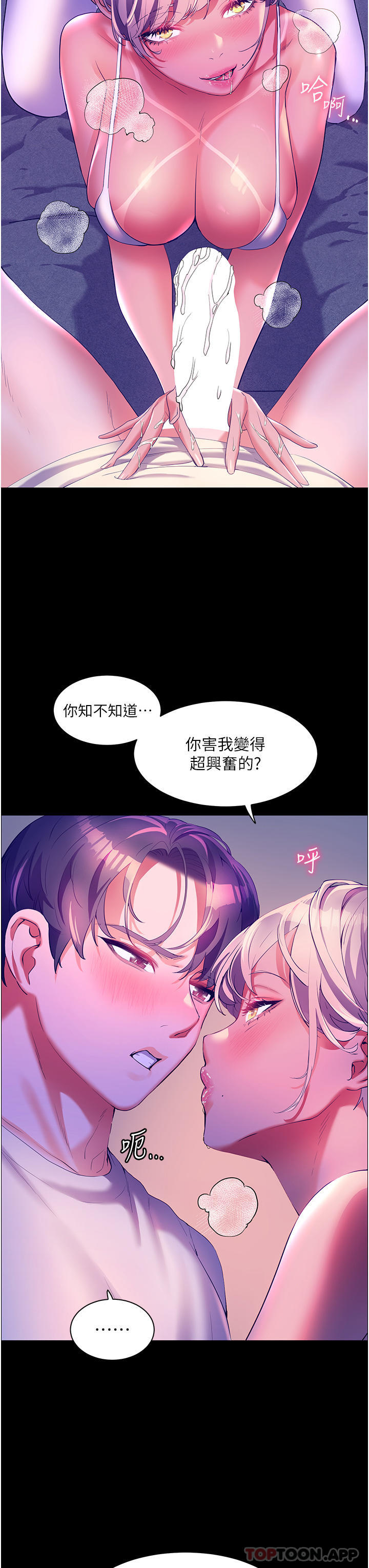 8P - 幸福小岛