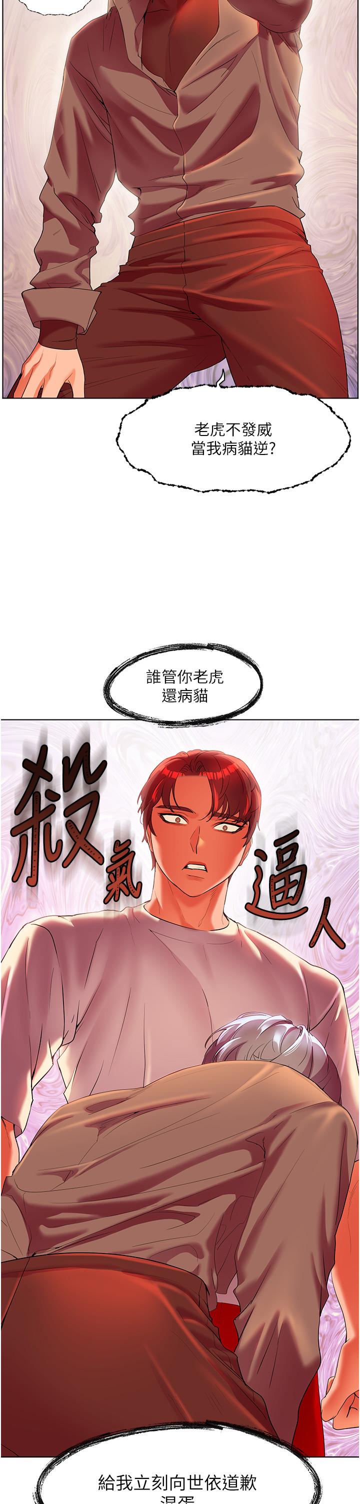 13P - 幸福小岛