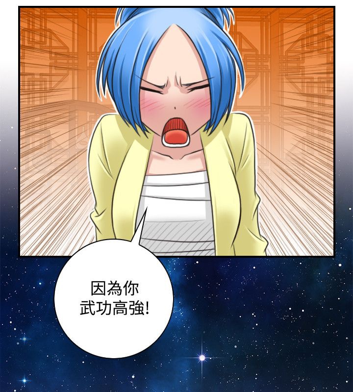 24P - 性感的高手们