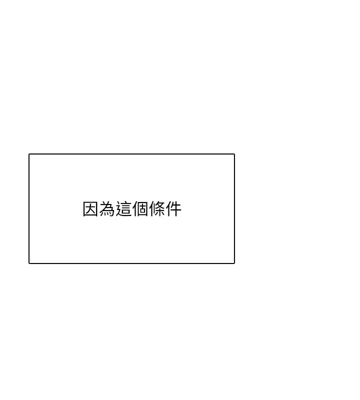 37P - 飞机杯女神连线中
