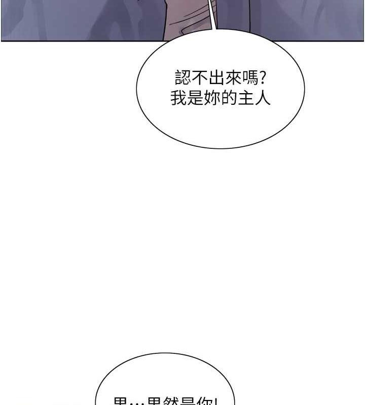 41P - 色轮眼