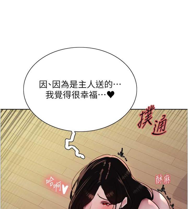 62P - 色轮眼