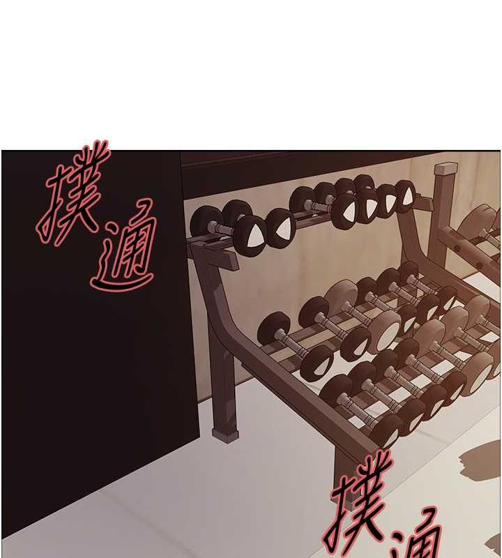 121P - 色轮眼