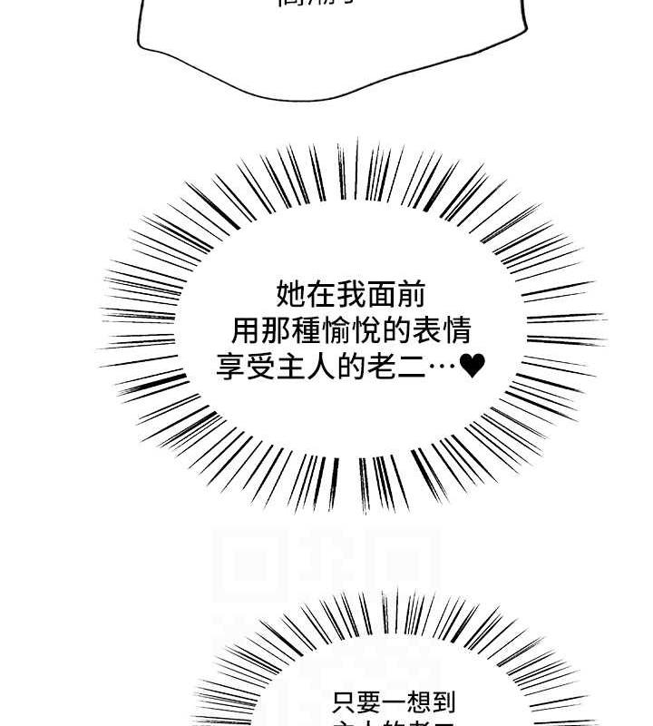 96P - 色轮眼