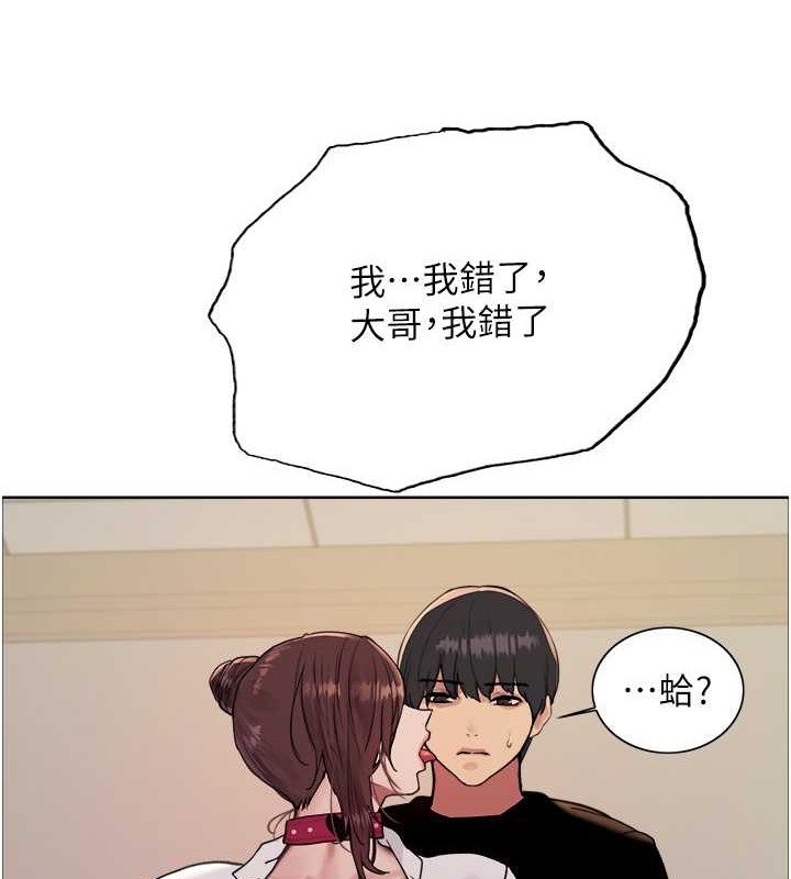 56P - 色轮眼