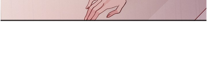 17P - 色轮眼