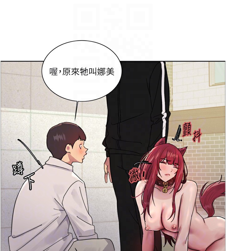 82P - 色轮眼